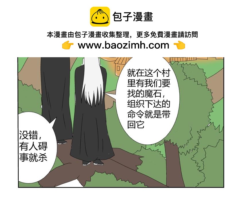 《灵兽守护计划》神秘组织 第2页