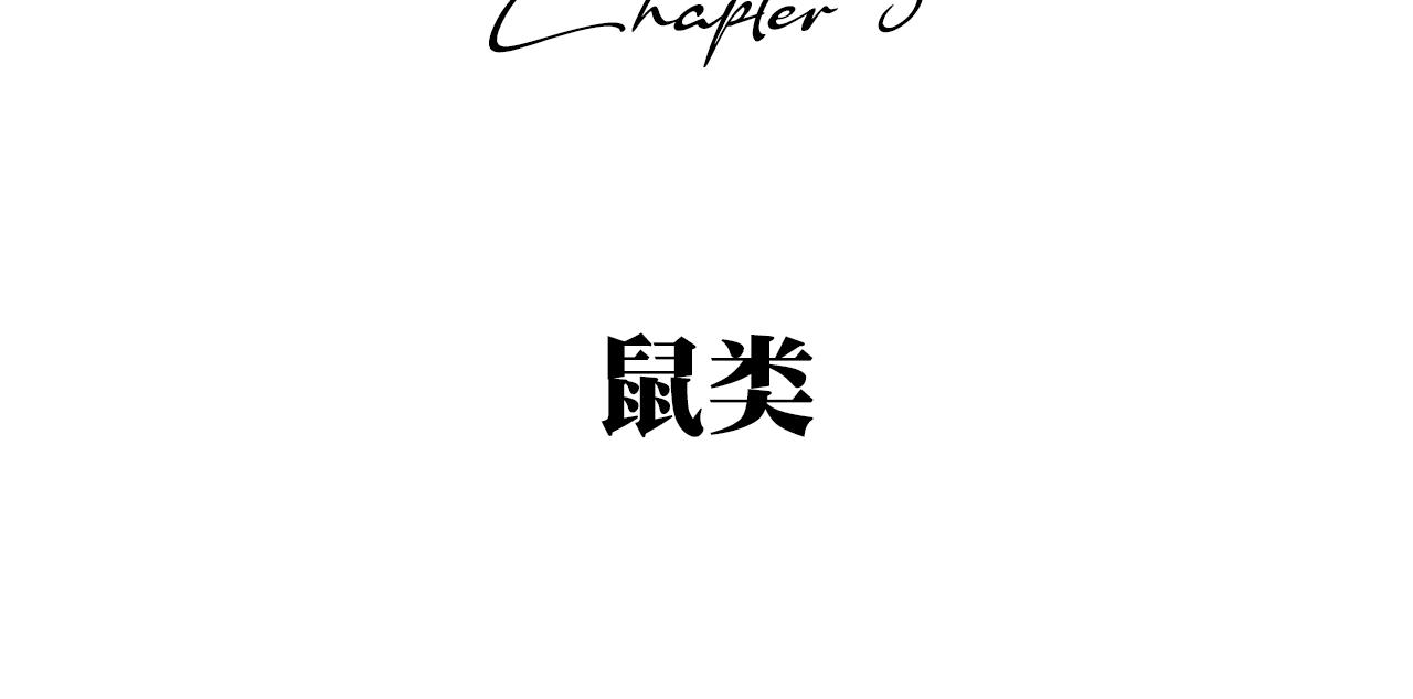 《A&ampB之镜影迷局》第五章 鼠类 第12页