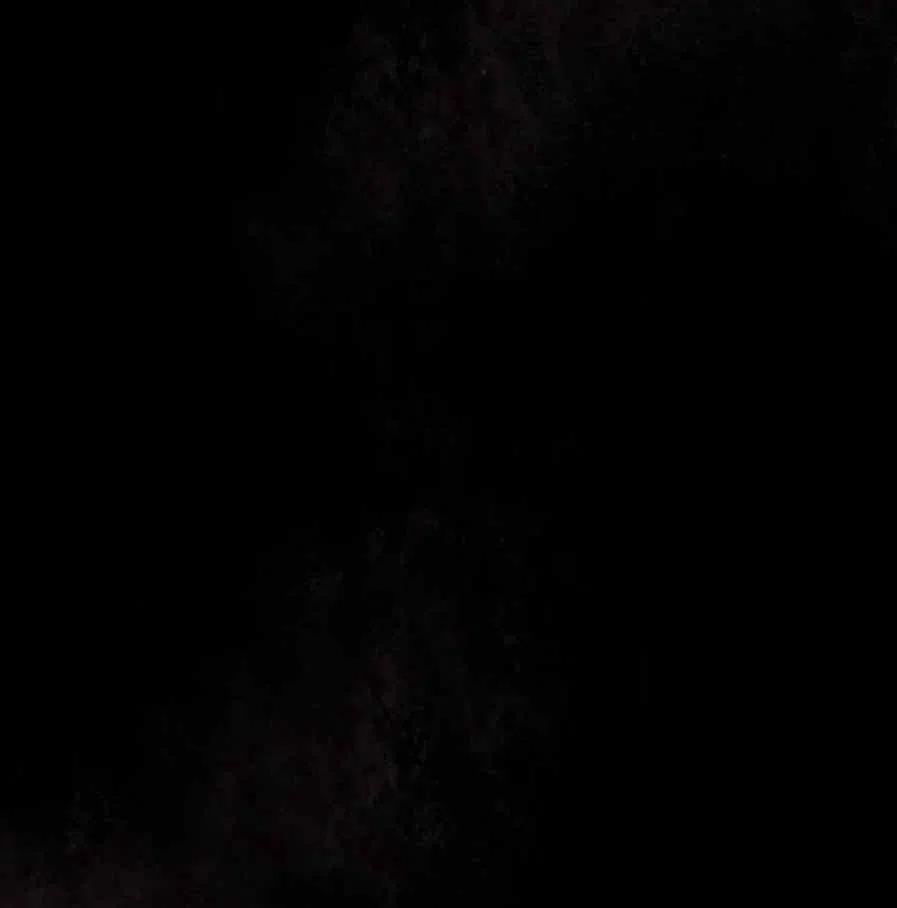 《十九世纪末备忘录》序言 第36页