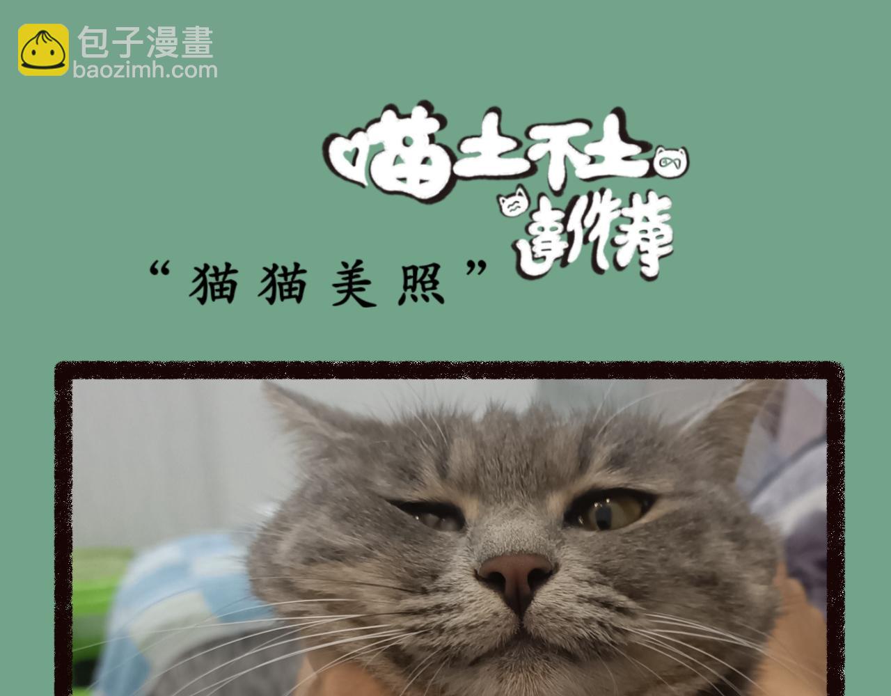 《喵土不土事件簿》第一话七夕呀 第19页