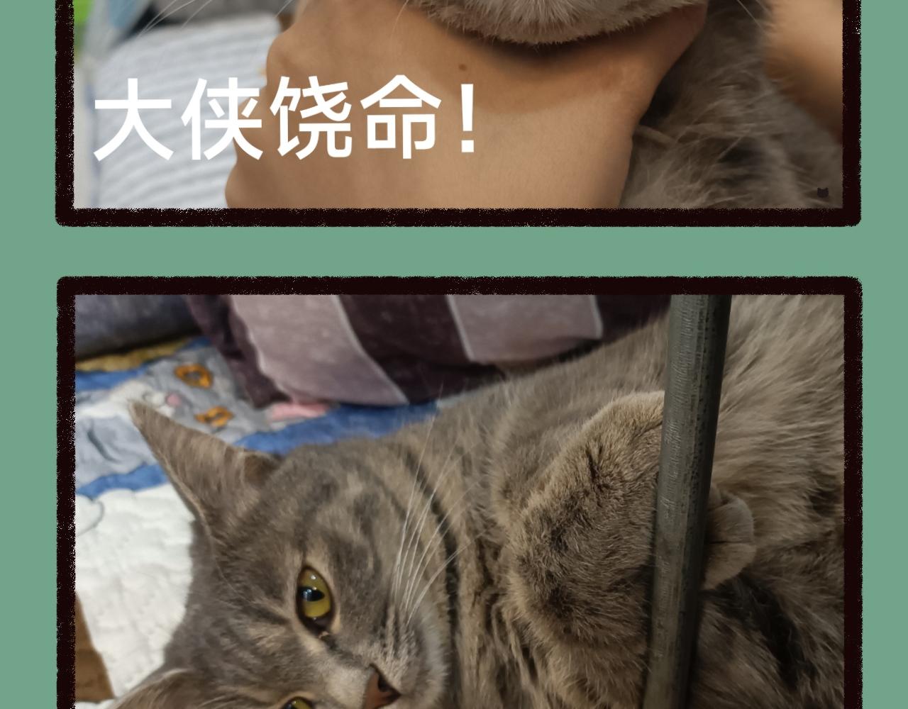 《喵土不土事件簿》第一话七夕呀 第20页