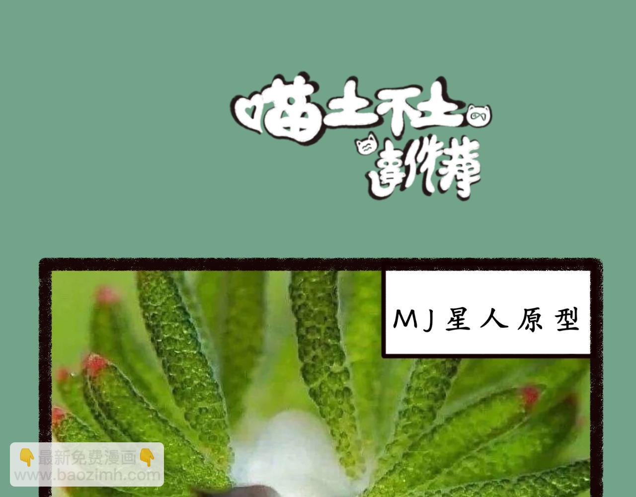 《喵土不土事件簿》第三话 乱喊什么啊！ 第19页