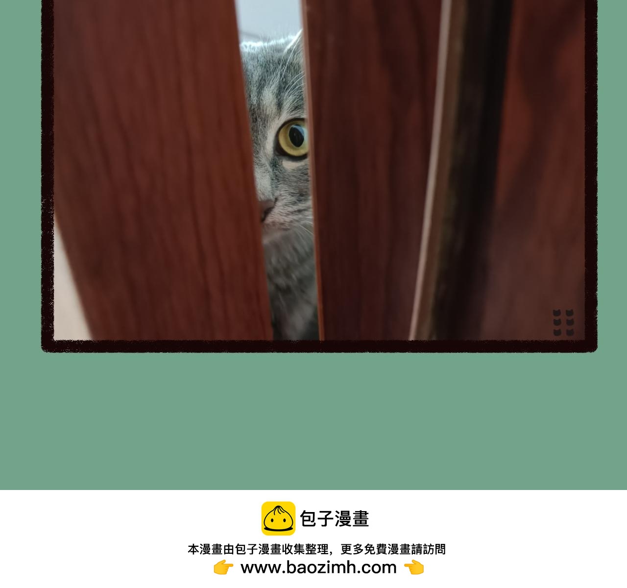 《喵土不土事件簿》第三话 乱喊什么啊！ 第24页