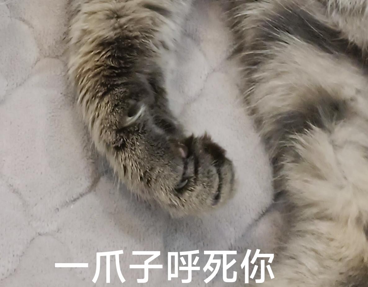 《喵土不土事件簿》第四话 空耳大师 第23页