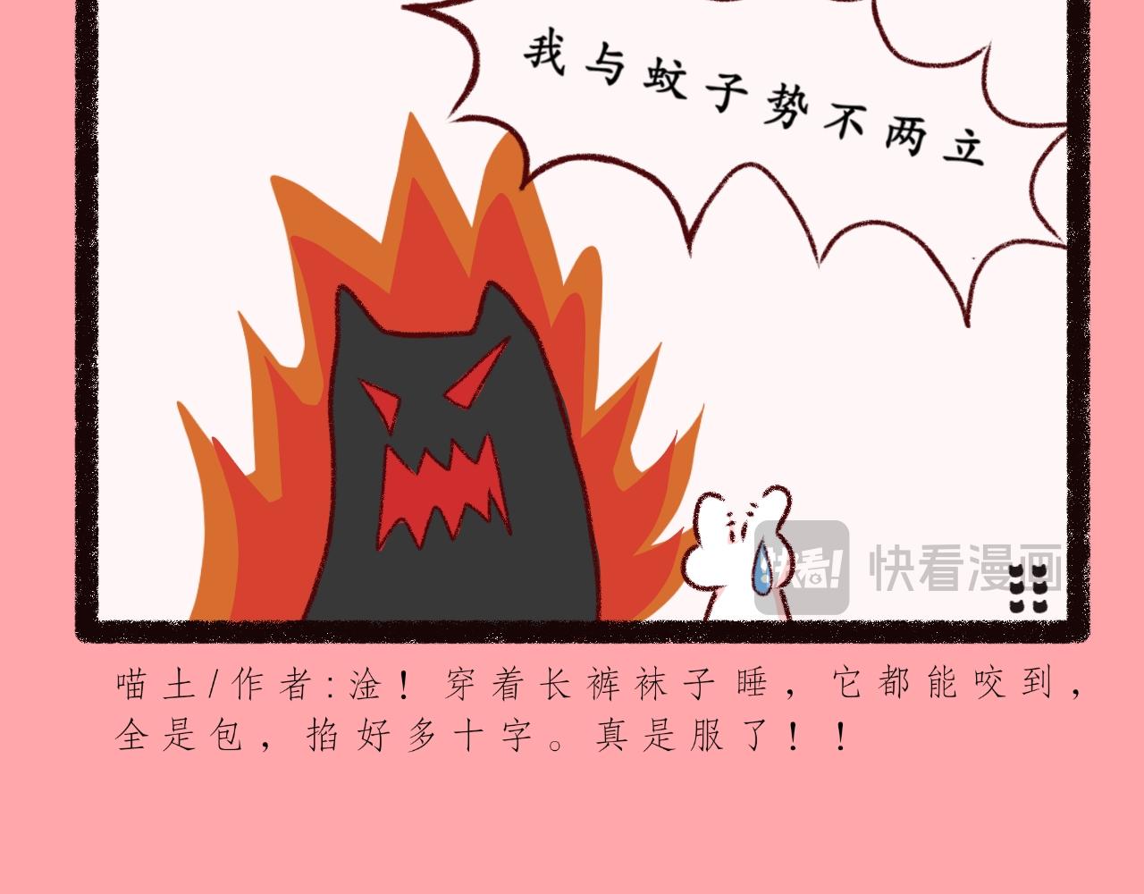 《喵土不土事件簿》第二话 坠落地球（上） 第18页