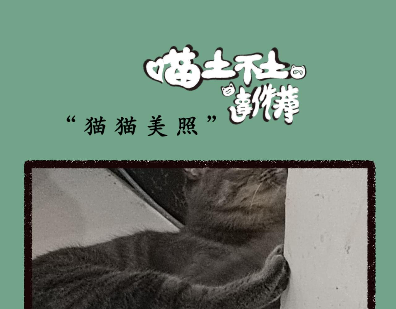 《喵土不土事件簿》第二话 坠落地球（上） 第19页