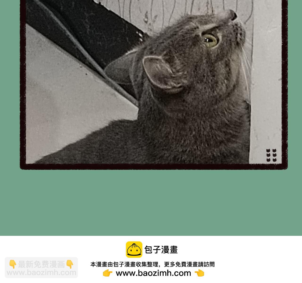 《喵土不土事件簿》第二话 坠落地球（上） 第24页
