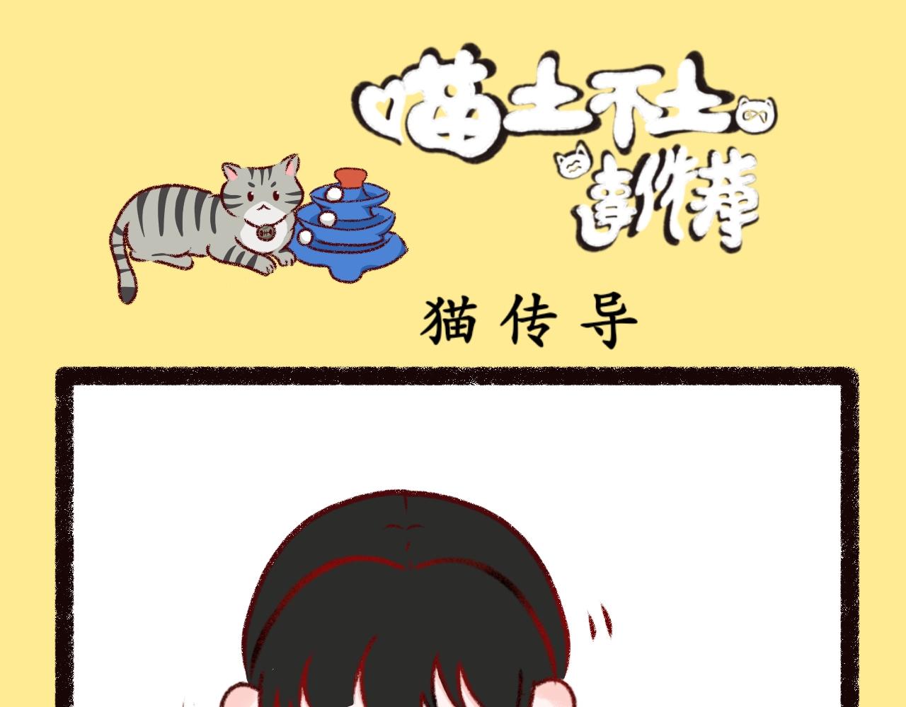 《喵土不土事件簿》第二话 坠落地球（上） 第7页
