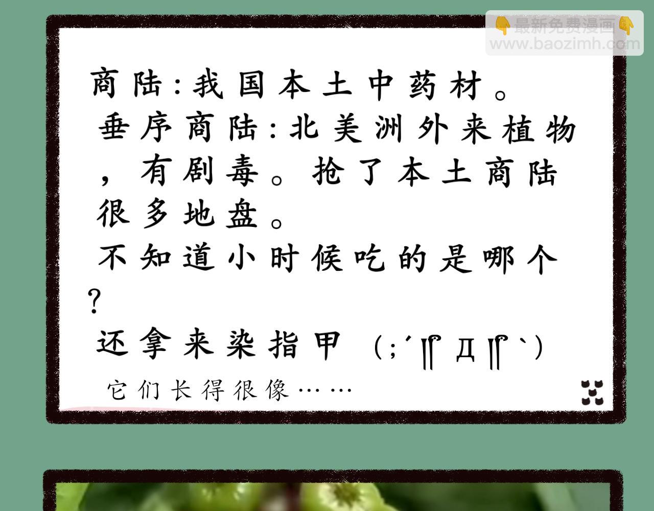 《喵土不土事件簿》第五话 吃饺皮 第23页