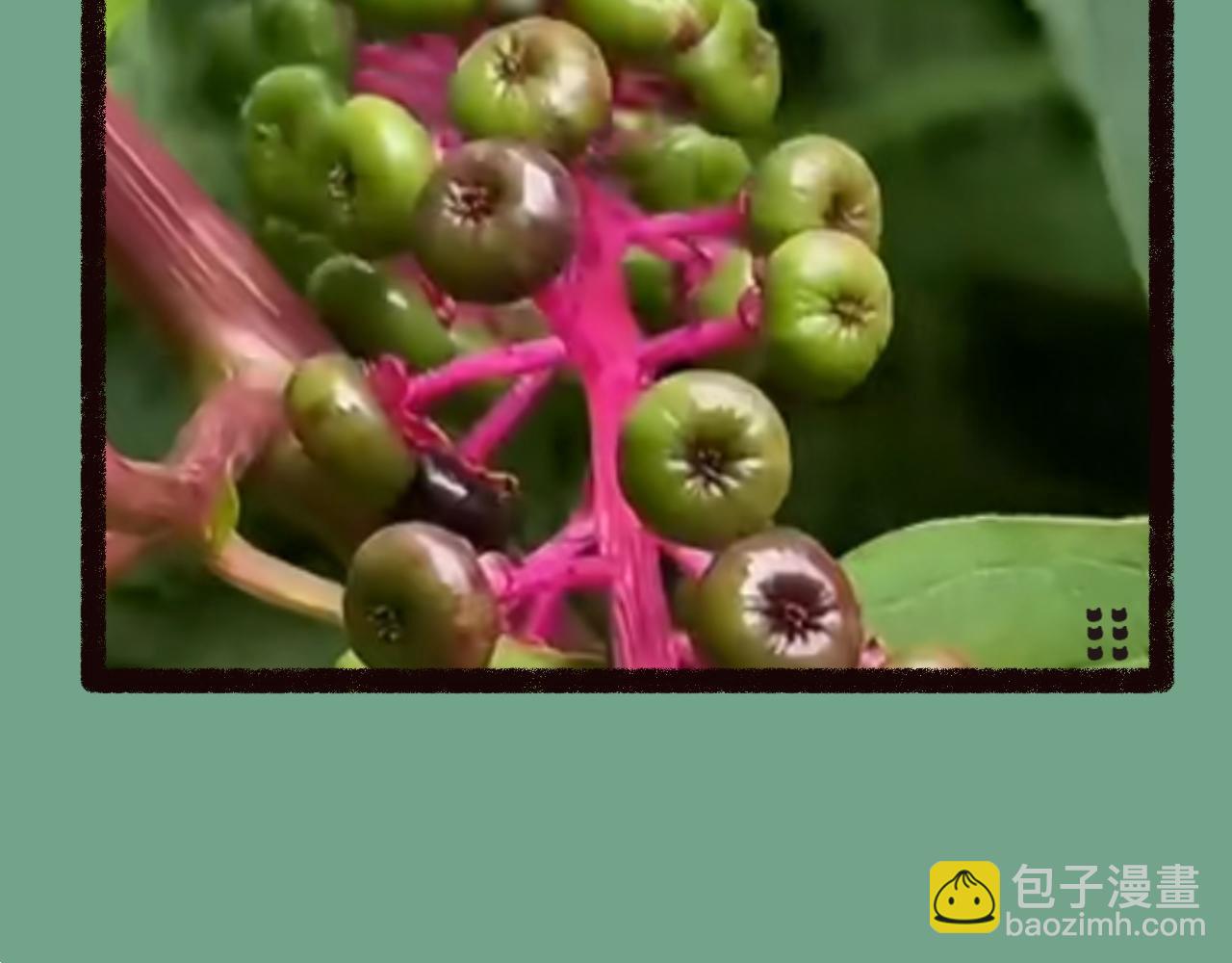 《喵土不土事件簿》第五话 吃饺皮 第24页