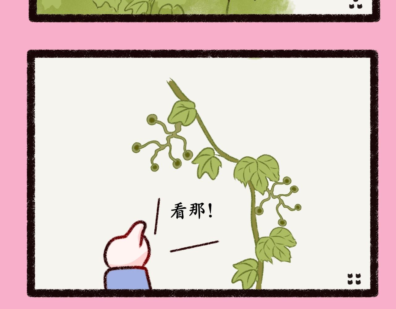 《喵土不土事件簿》第六话 爬山虎的…脚 第10页