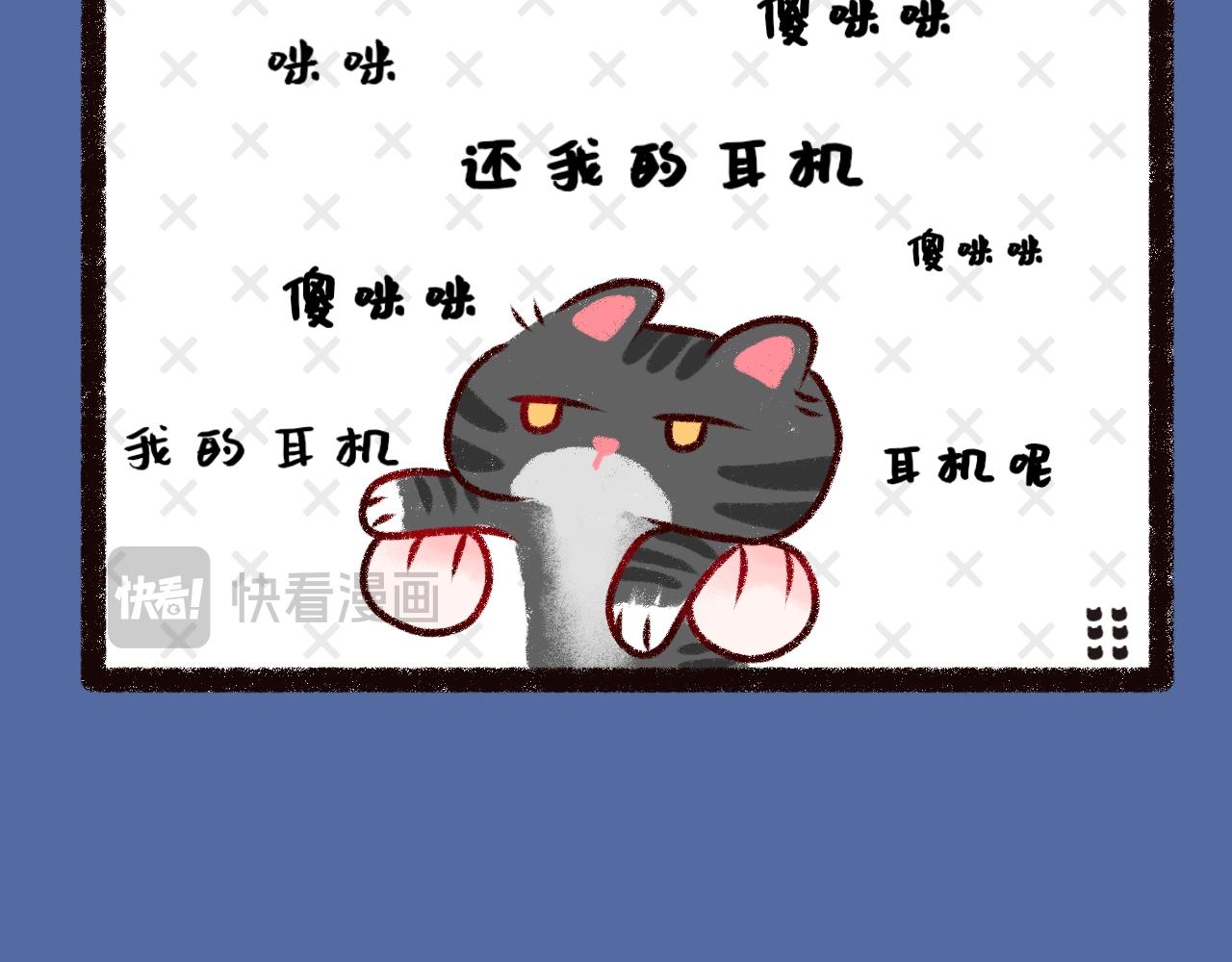 《喵土不土事件簿》第九话愚蠢的人类 第12页