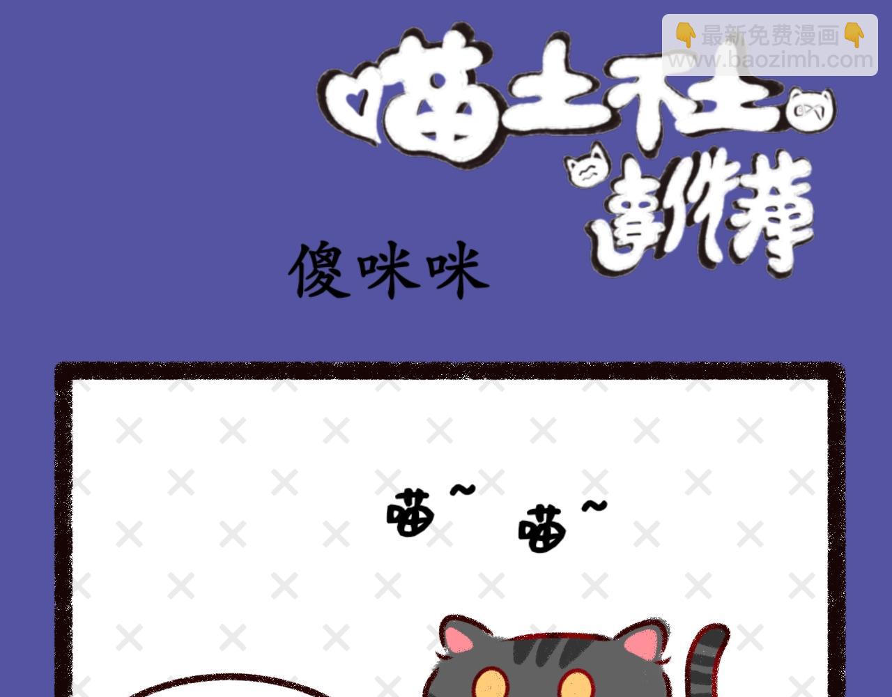 《喵土不土事件簿》第九话愚蠢的人类 第13页