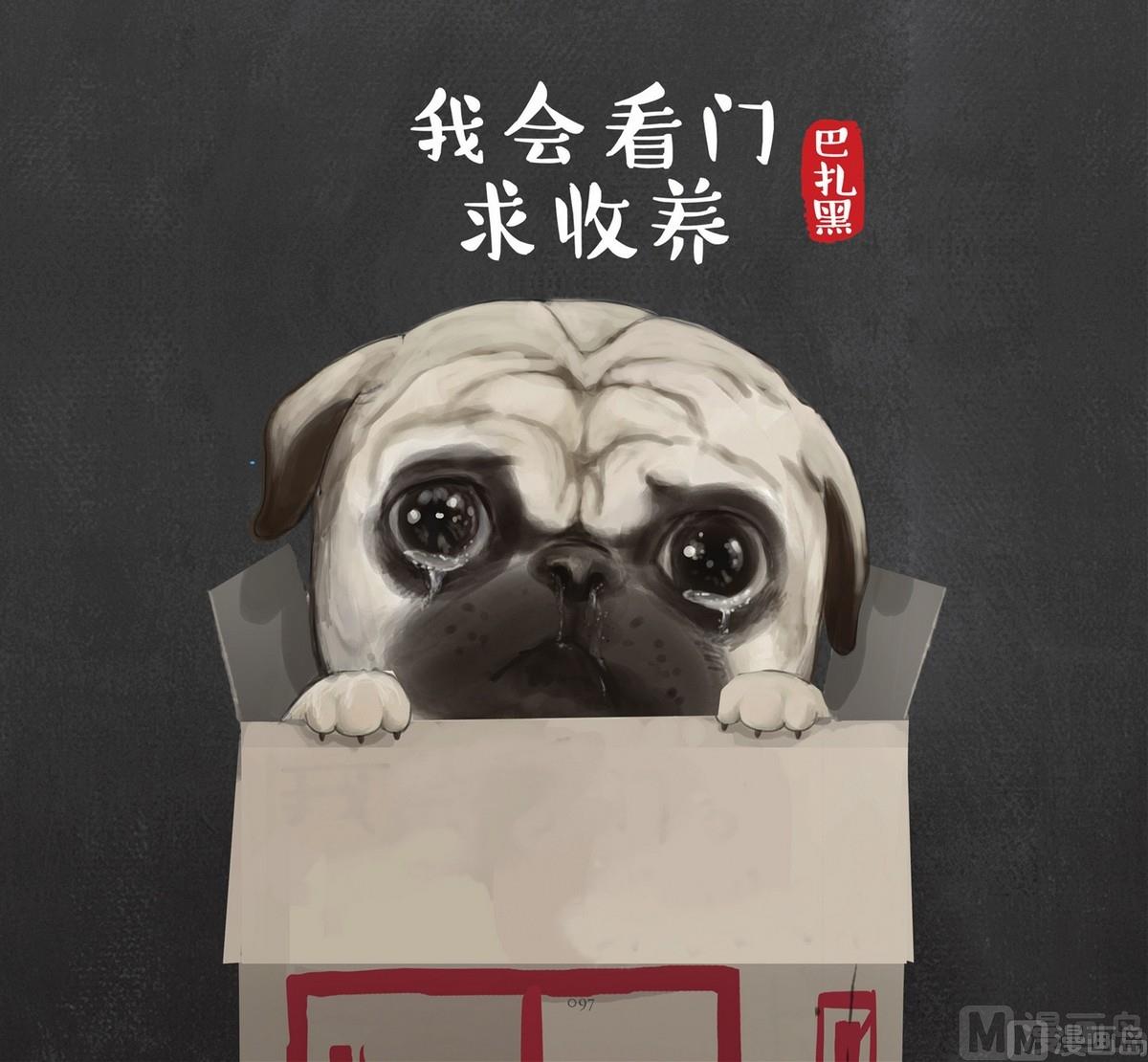 《就喜欢你看不惯我又干不掉我的样子》第12话 第4页