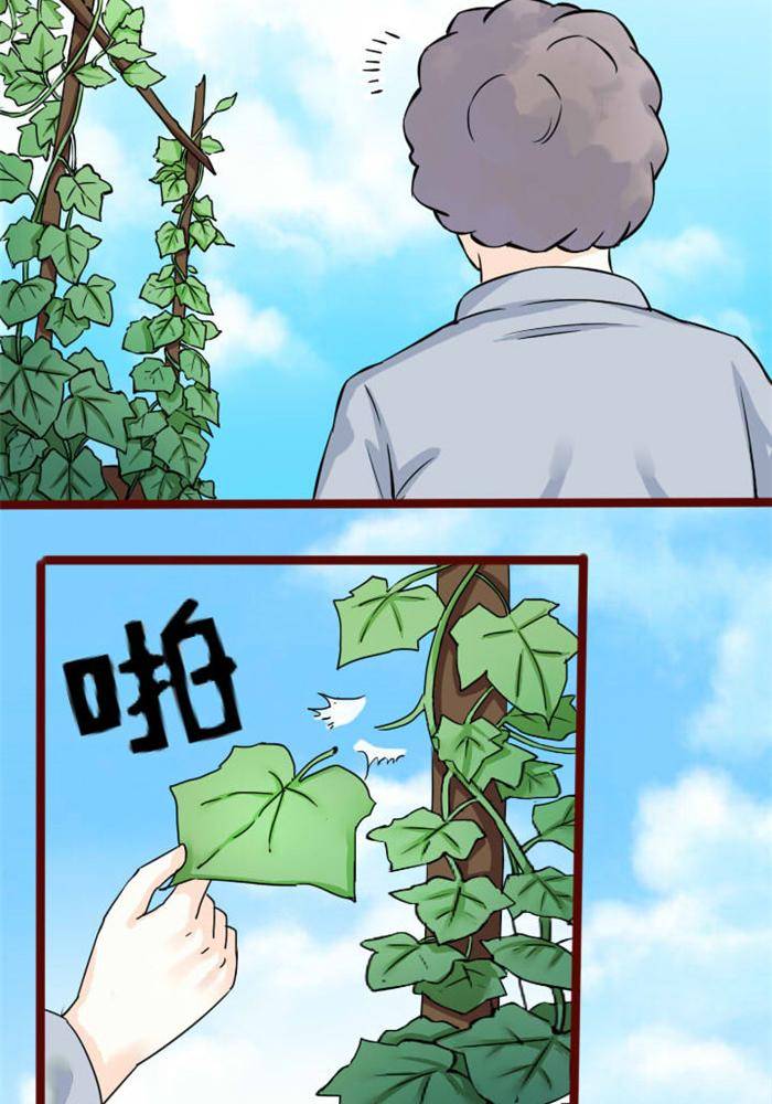 《家有土豪好圈地》第3话 第5页