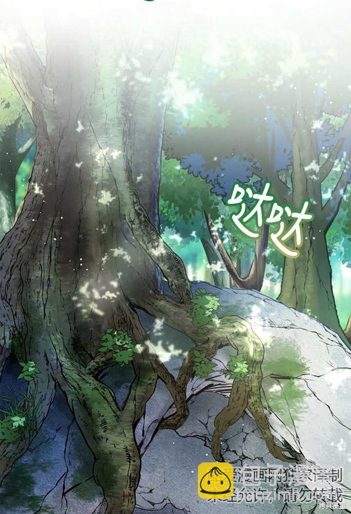 《转生为神兽宝宝》第1话 第44页