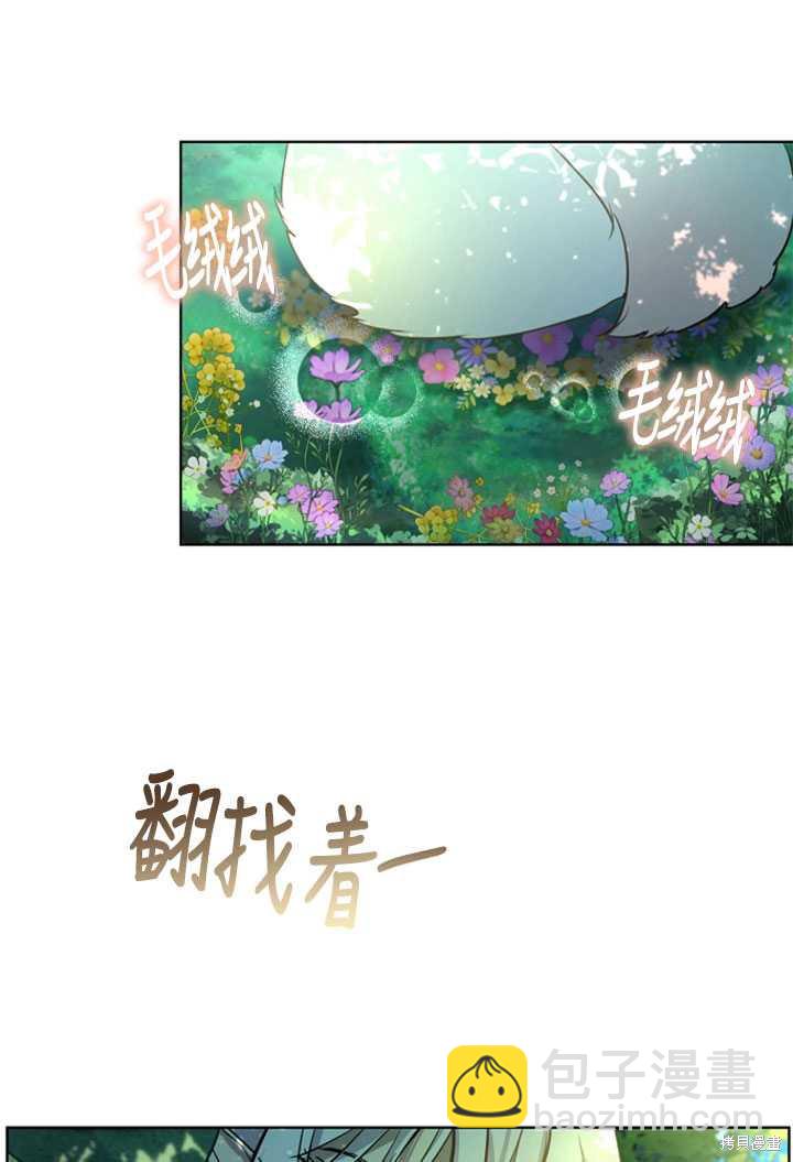 《转生为神兽宝宝》第1话 第4页