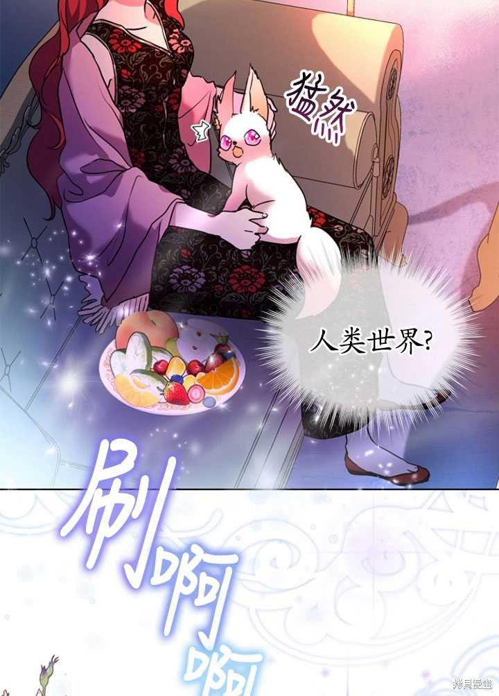《转生为神兽宝宝》第2话 第35页