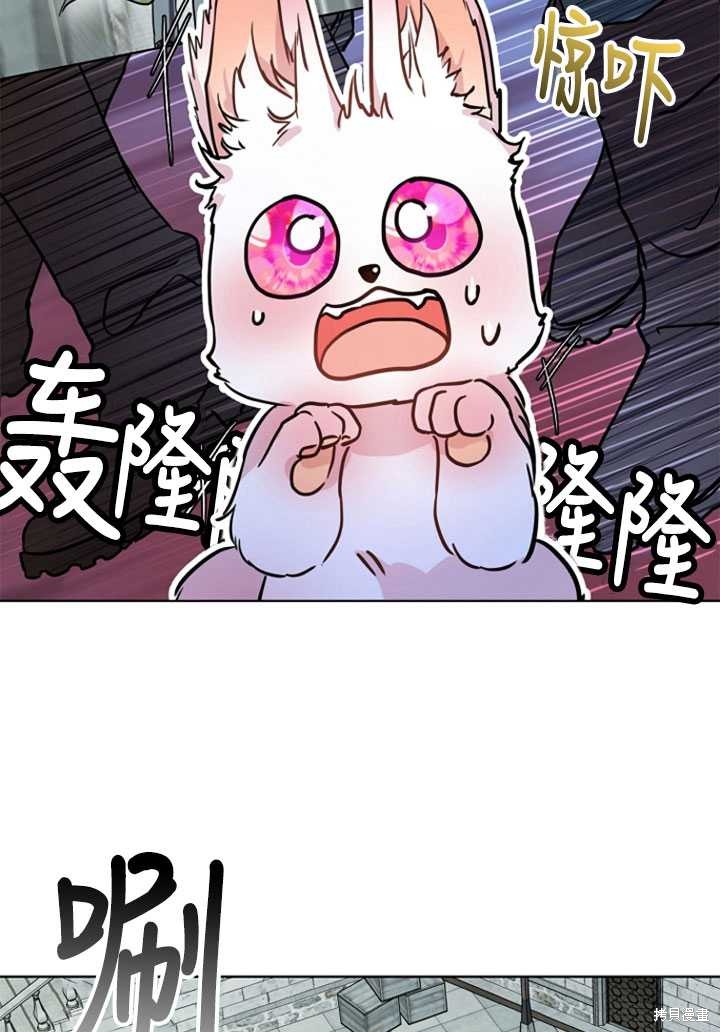 《转生为神兽宝宝》第3话 第9页