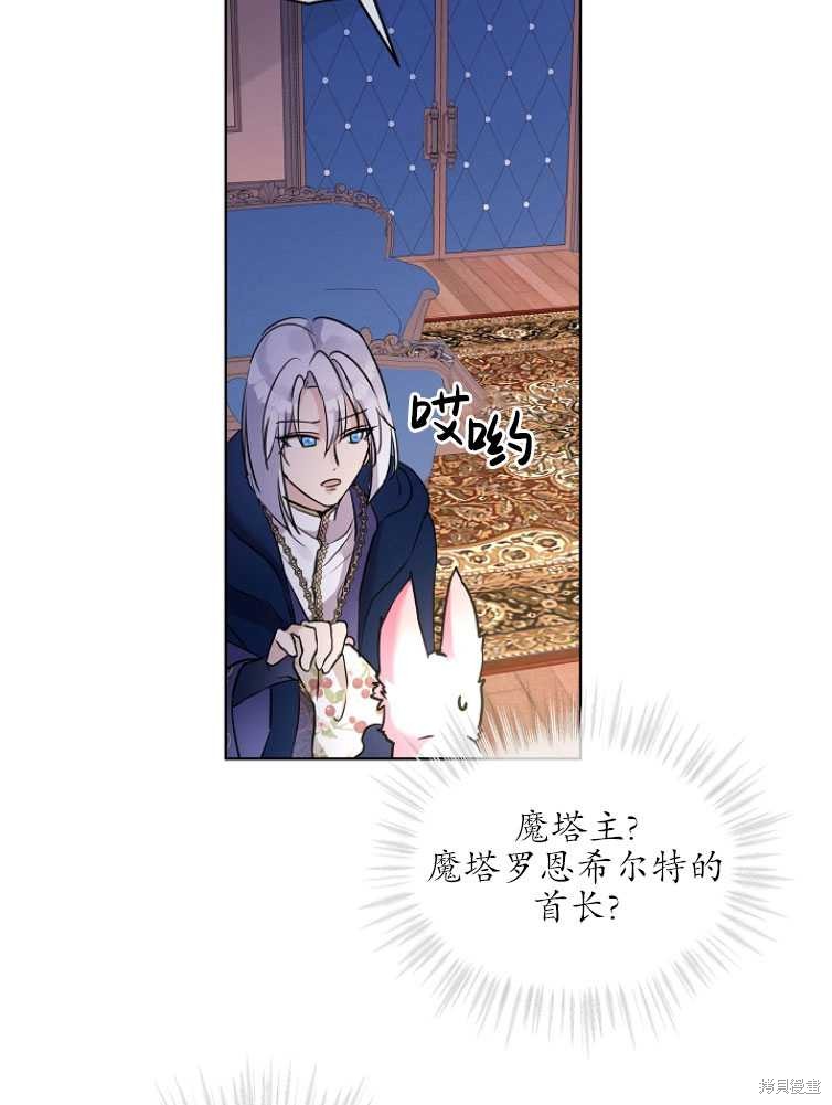 《转生为神兽宝宝》第4话 第49页