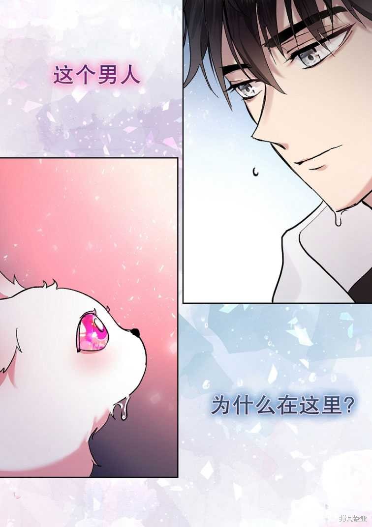 《转生为神兽宝宝》第10话 第31页