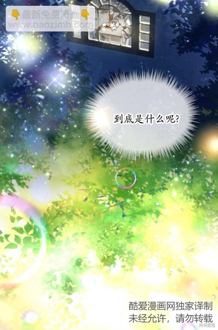 《转生为神兽宝宝》第8话 第39页