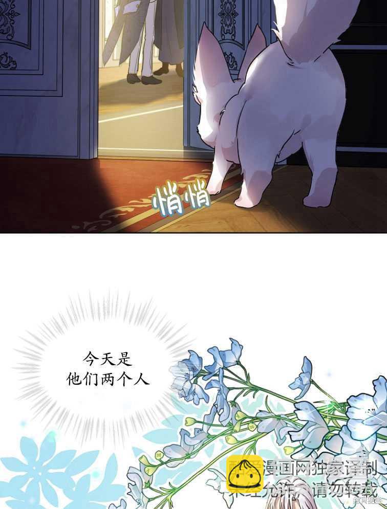 《转生为神兽宝宝》第8话 第42页