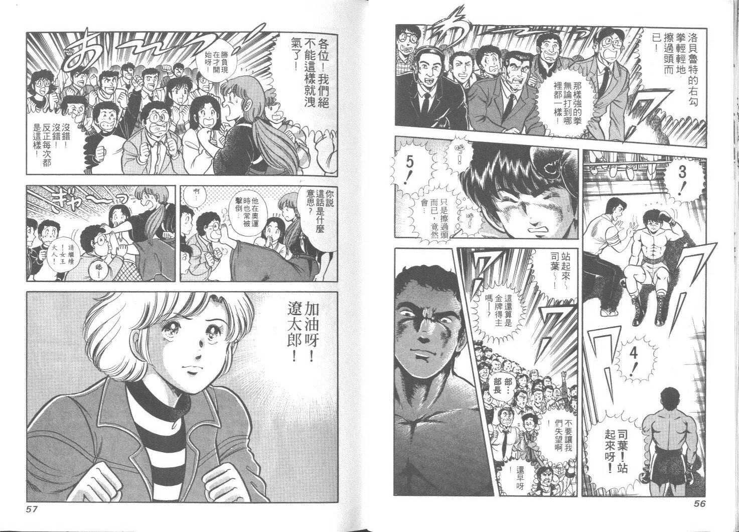 《擂台恋曲》第23卷 第29页