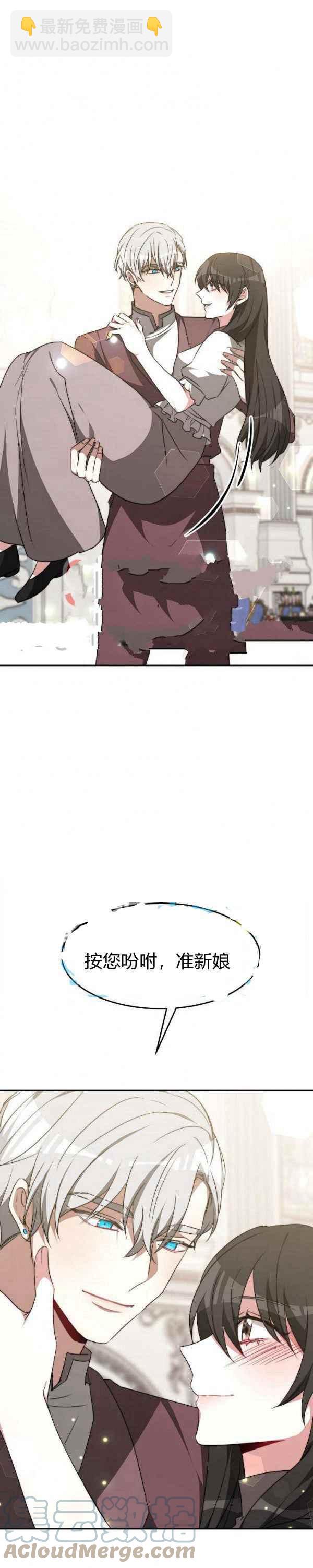 《艾丽西翁的新娘》第45话 第27页