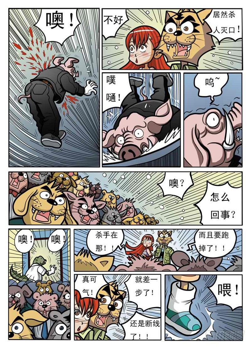 《界虎》赌拳 第13页