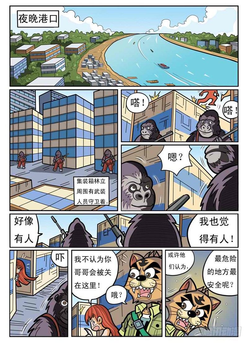 《界虎》码头混战 第2页