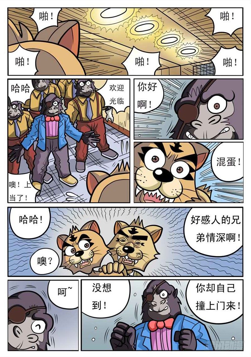 《界虎》找到大哥 第12页
