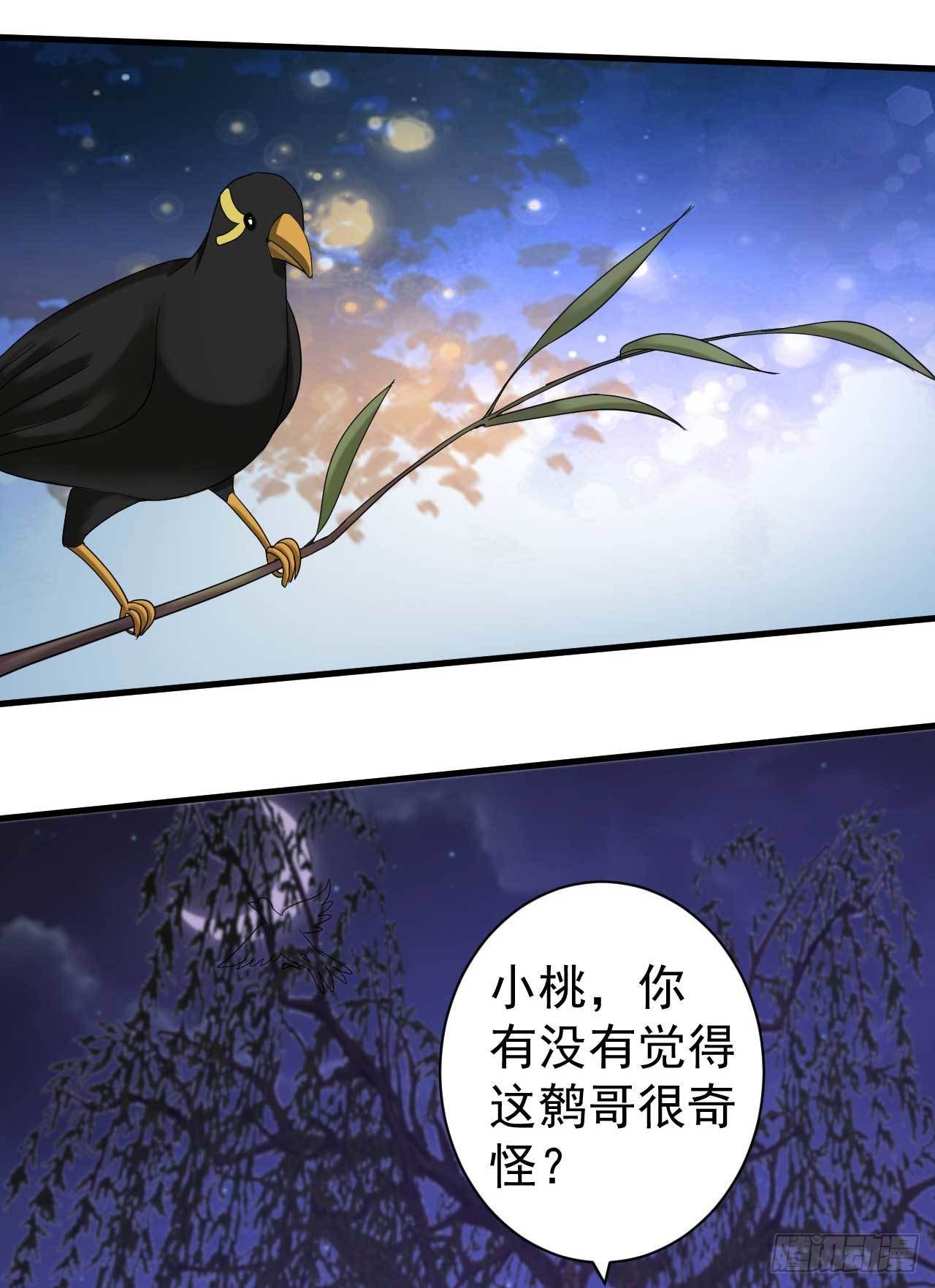 《下堂王妃逆袭记》第8话 监视 第36页