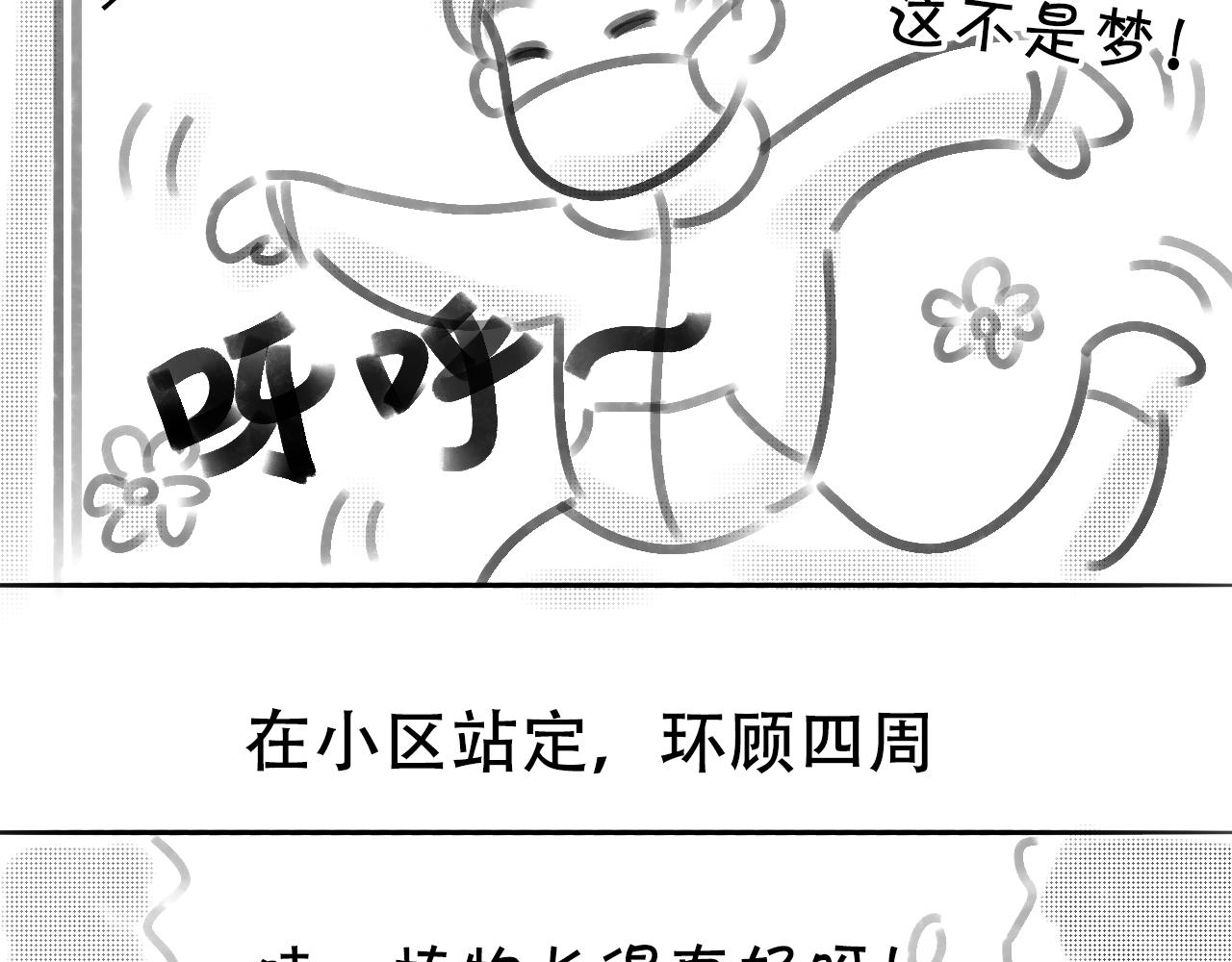 《宅家小记.我的一件小事》宅家搞笑剧场—四季着装 第4页