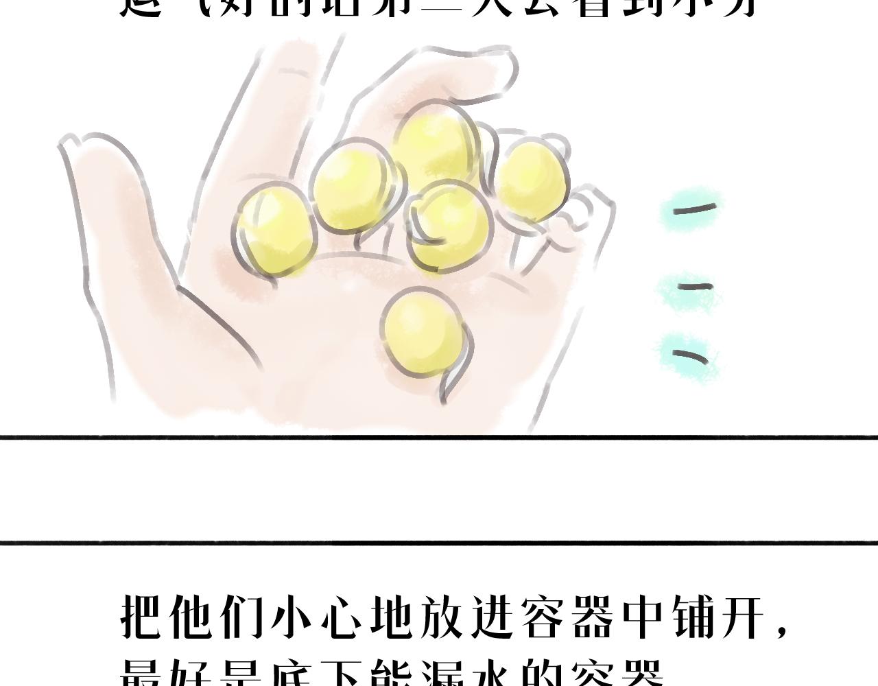 《宅家小记.我的一件小事》DAY.35种豆芽从入门到精通 第17页