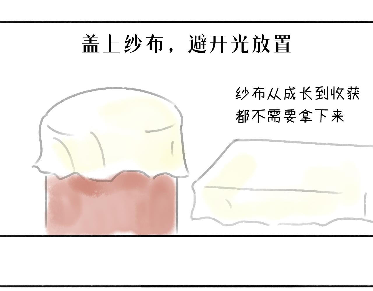 《宅家小记.我的一件小事》DAY.35种豆芽从入门到精通 第19页