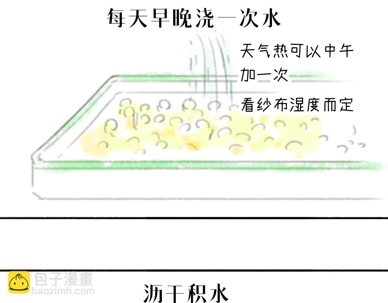 《宅家小记.我的一件小事》DAY.35种豆芽从入门到精通 第20页