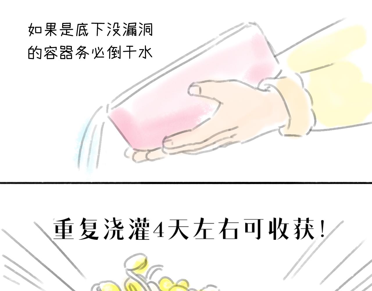 《宅家小记.我的一件小事》DAY.35种豆芽从入门到精通 第21页