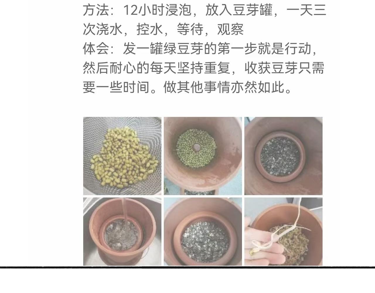 《宅家小记.我的一件小事》DAY.35种豆芽从入门到精通 第24页