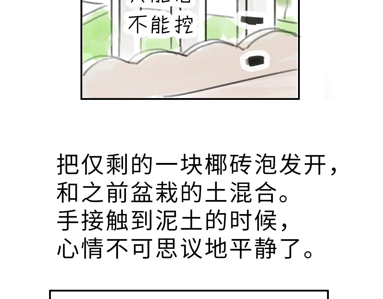 《宅家小记.我的一件小事》完结篇.我和我们的世界 第13页