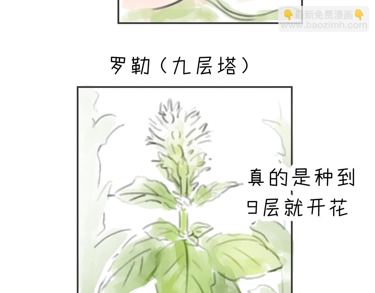 《宅家小记.我的一件小事》完结篇.我和我们的世界 第7页