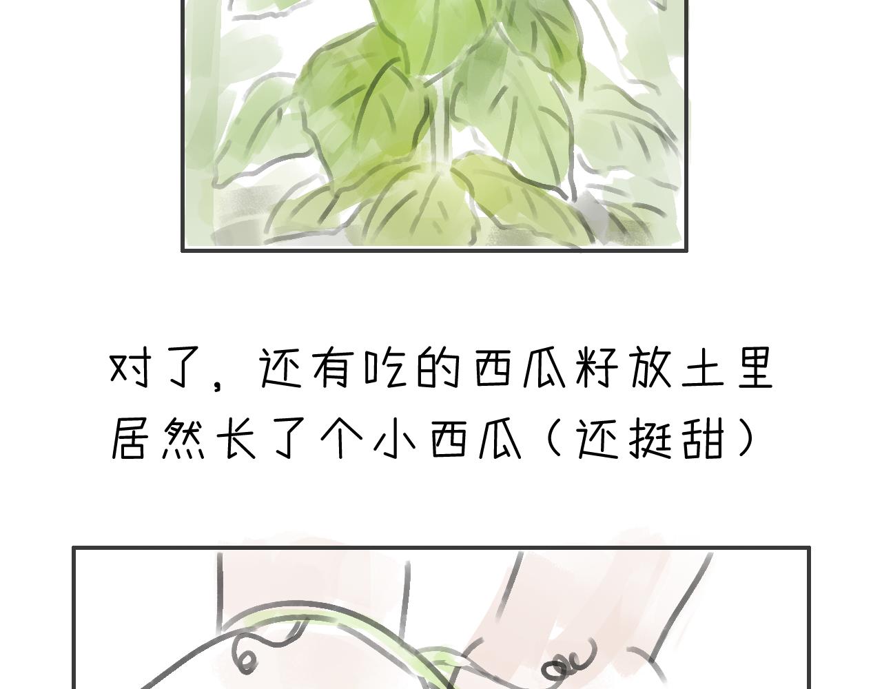 《宅家小记.我的一件小事》完结篇.我和我们的世界 第8页