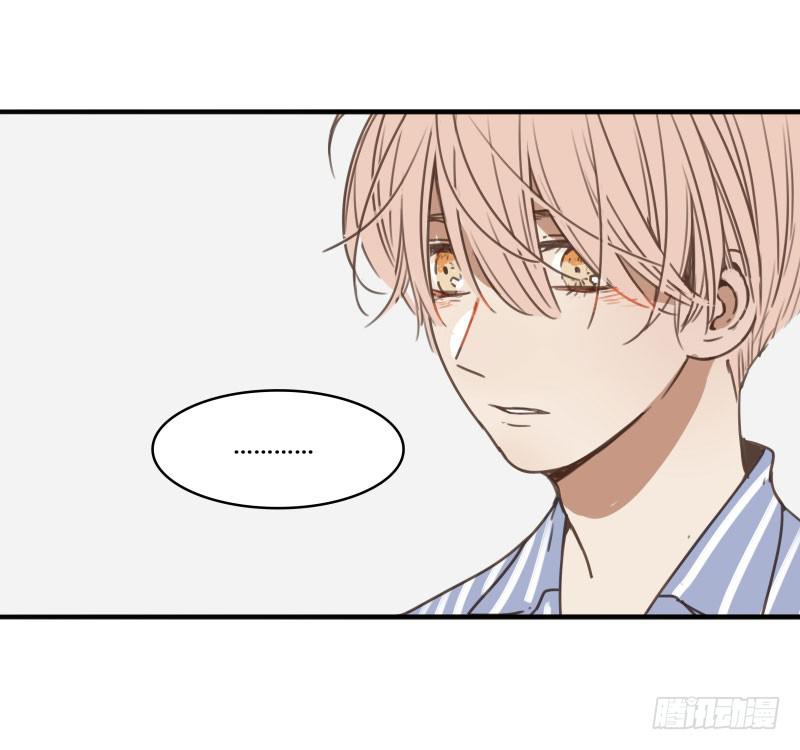 《沉默的色彩》21 第41页