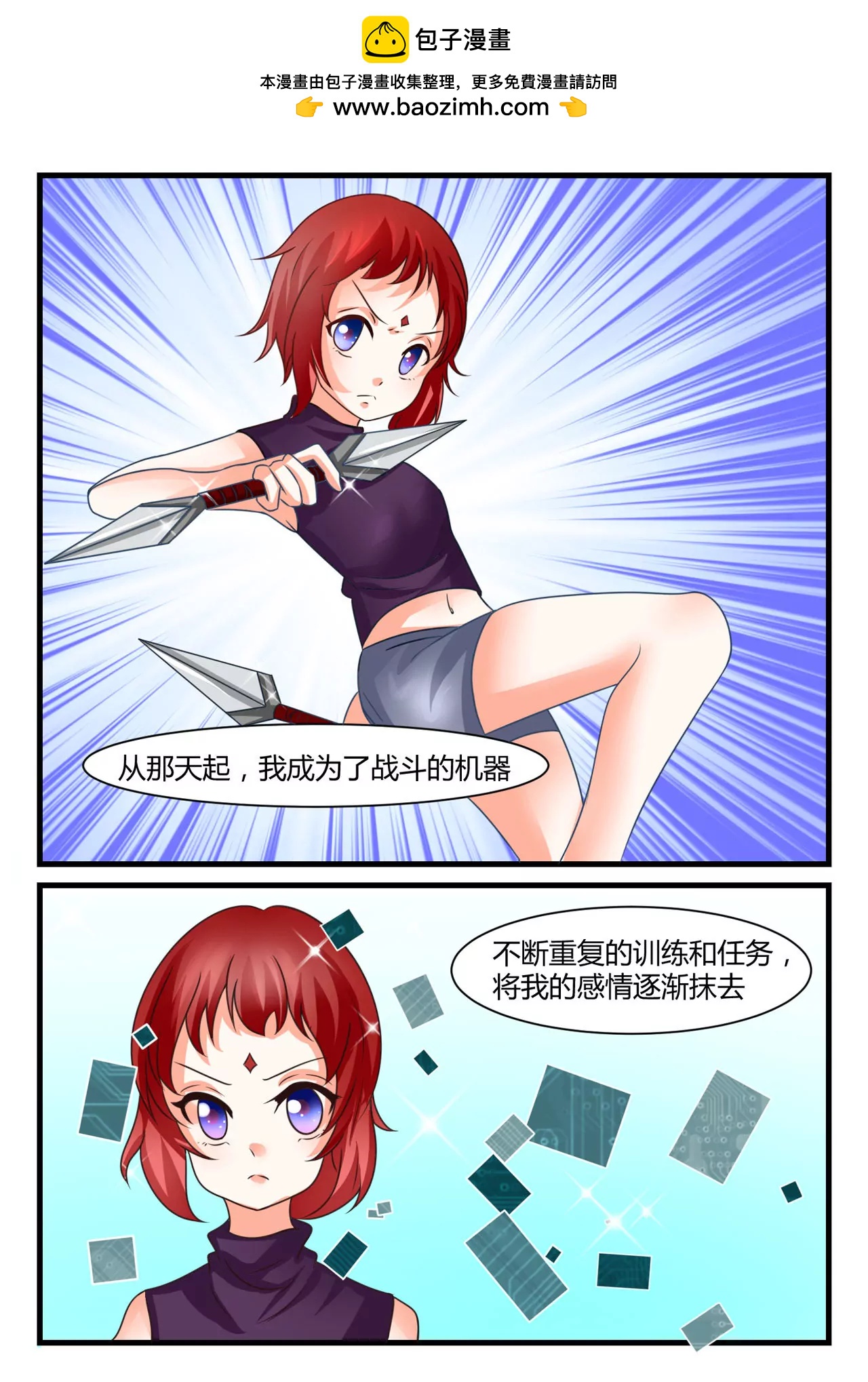 《双城记》利用 第5页
