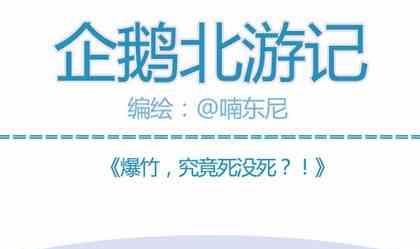 《企鹅北游记》03 第1页