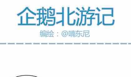《企鹅北游记》10 第1页