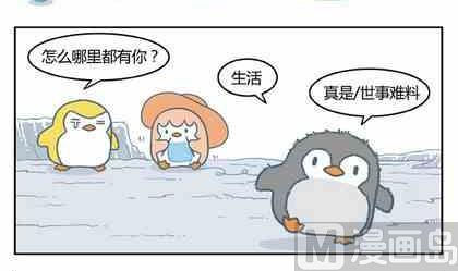 《企鹅北游记》10 第9页