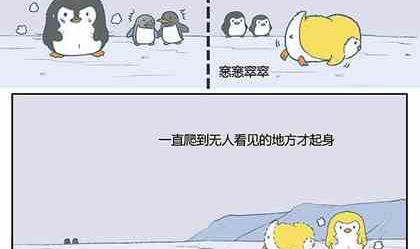 《企鹅北游记》18 第5页