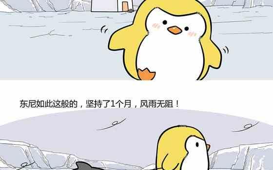 《企鹅北游记》27 第13页