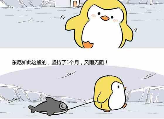 《企鹅北游记》28 第13页